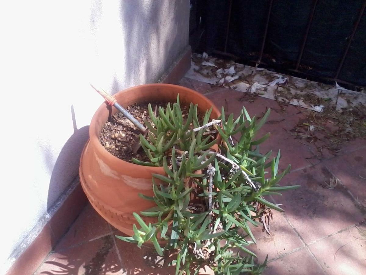 Отель Sperone Mandra Capreria Экстерьер фото